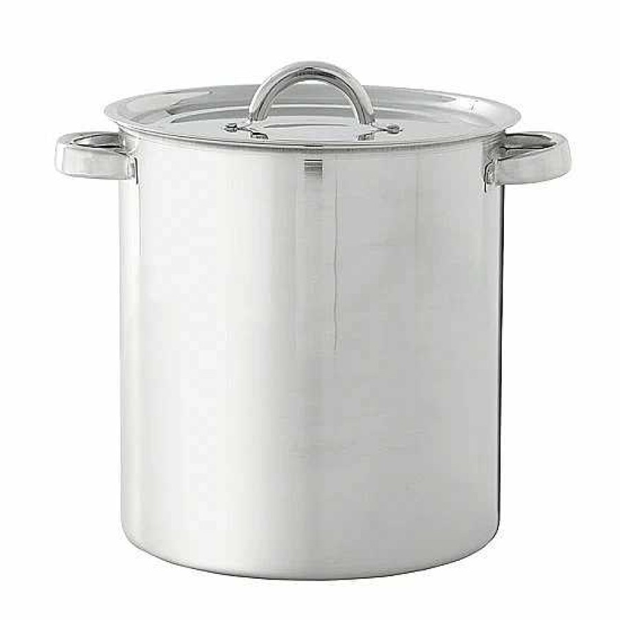 Hot Food Network™ Food Network 12-Qt. Stainless Steel Stockpot With Lid